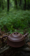 Close up of ceramic teapot on wooden logs in forest