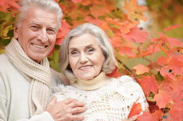 Smiling senior couple posing in the park