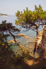 Istanbul Adalar islands