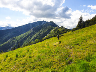 Romania, Piule Iorgovanu Mountains, Plesa Ridge, mountain landscape in the summer