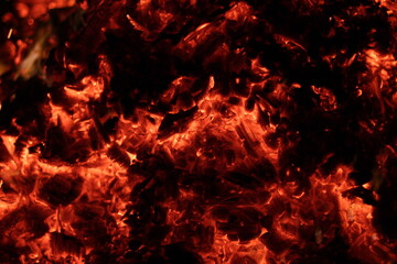 Fire. A flame on a black background. A background for designers. Colors of hell. Abstract fiery texture.