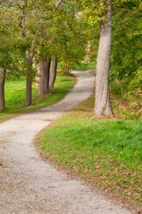 Obraz premium Curvy Pathway