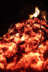 Fire. A flame on a black background. A background for designers. Colors of hell. Abstract fiery...