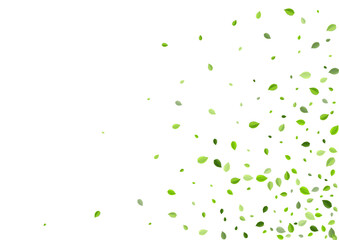 Grassy Greens Transparent Vector Poster. Fresh 