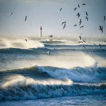 lighthouse in the sea during windstorm with seagulls. blue sky and beautiful waves