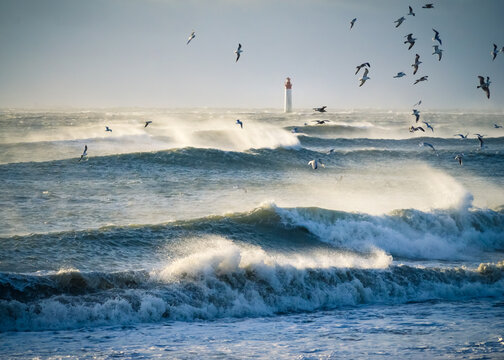 lighthouse in the sea during windstorm with seagulls on a clear blue sky