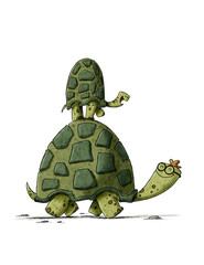 Small turtle is on top of an adult turtle as they walk. Single parent family concept. isolated