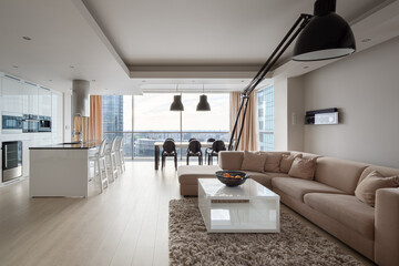 Spacious apartment with city view