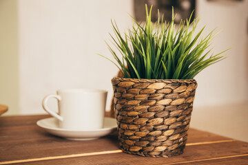 Green plant in pot on table with coffee cup in background
