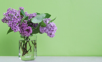 Branches of fresh purple lilac in a glass vase on a green background. place for text