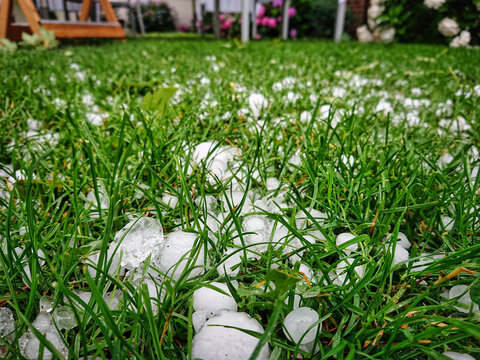 Hagel auf gr&uuml;ner Wiese