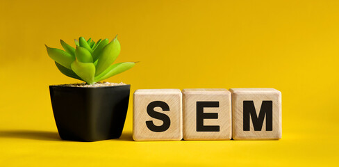 SEM - internet concept on a yellow background. Wooden cubes and flower in a pot.