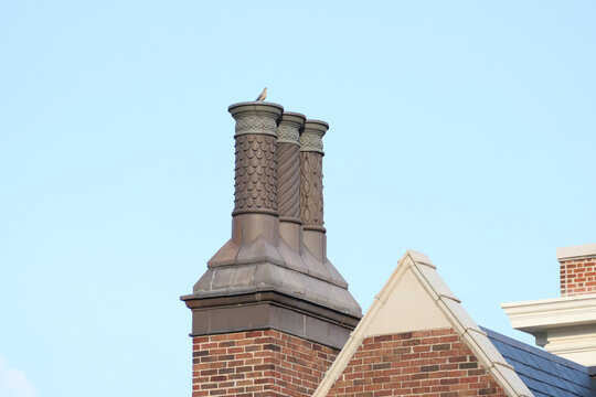 Three decorative chimney stacks with a pigeon