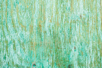 Old green shabby wooden surface with peeling paint texture background.