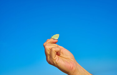 Woman's hand with a yellow butterfly, on a background of blue sky. Freedom, ok, happiness concept