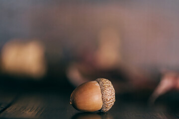 Close up of an acorn on a dark rustic wood table for fall decoration