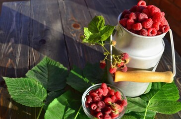ripe, bright and fragrant raspberries with green leaves in early summer