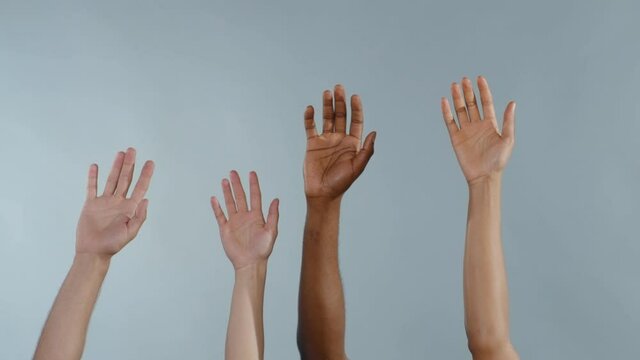 Hands of Diverse Multi-race People Holding Up on Background. Isolated Human Hands. Ethnic Diversity. Friendship of Peoples. Equality Concept.