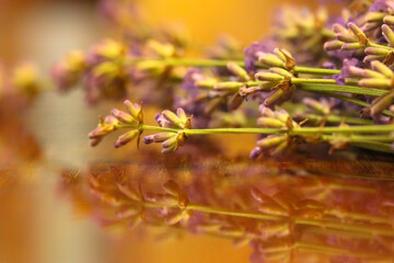 Bouquet of lavender on a wooden table
