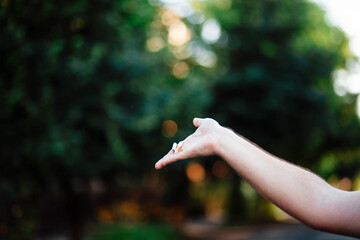 World No Smoking Day. The fight against nicotine addiction. The guy breaks a cigarette. Male hand...
