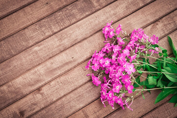 Garden flowers. Pink Phlox on wooden table. Vintage floral background. Copy space
