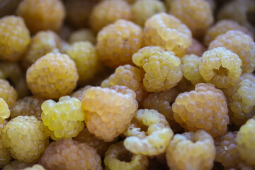 Yellow sweet ripe raspberry close-up, warm summer.