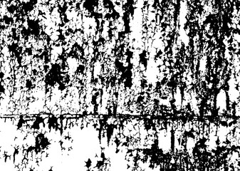 Cracked wall／ひび割れた壁