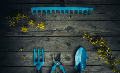garden tools in blue on a wooden floor with yellow flowers top view background