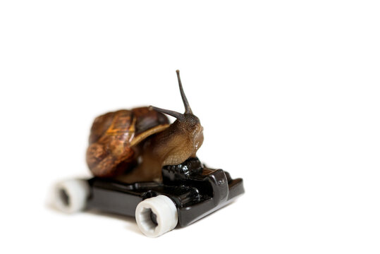 Children's car, time, speed and rush. success concept.Speedy snail.car racer. Isolated on white.