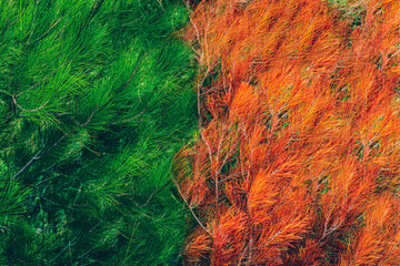 Zingaro Nature Reserve, near San Vito Lo Capo in the Sicilian region of Trapani, Italy. 