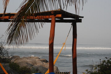 palm tree and gazebo on the beach