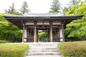 Obraz premium 能仁寺 山門