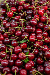 Cherry background, fresh ripe cherry view,