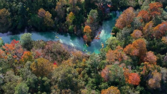 kayaking the Weeki