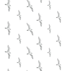 Vector seamless pattern of hand drawn doodle sketch seagull birds flock isolated on white background