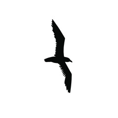 Vector black hand drawn sketch flying seagull silhouette isolated on white background