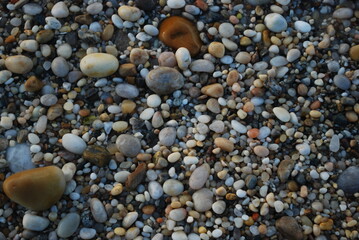 pebbles on the beach