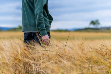 boy in sportswear in a wheat field strolls thoughtfully into the sunset