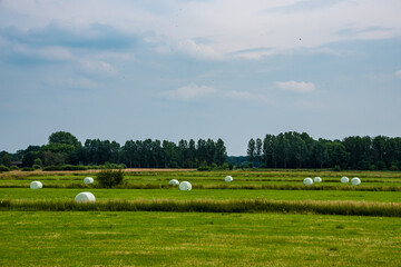 Pressed straw briquettes of harvest on a field. Harvesting dry grass for agriculture or farmer. Ecological fuel in straw briquettes. Biofuel production from agricultural residues