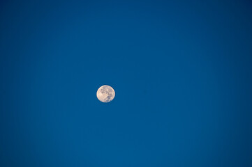 As the equinox moon rose over the harbour of San Diego it looked close enough to touch it . Even without a long lens it was so clear