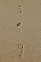 Footprint on the sand. Footprints left at the beach early in the morning