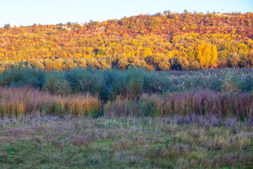  autumn hill with colorful trees