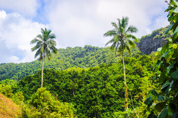Fototapeta na wymiar Rarotonga beautiful green tropical mountains, rainforests, scenery, landscapes, Cook islands, Pacific islands