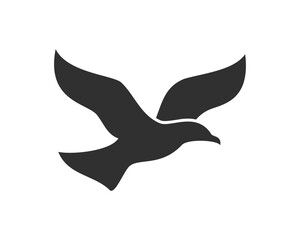 Eagle bird