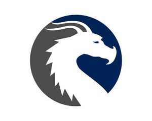 Dragon in circle 