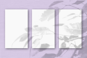 3 vertical sheets of textured white paper on soft lilac table background. Mockup overlay with the plant shadows. Natural light casts shadows from an exotic plant. Horizontal orientation
