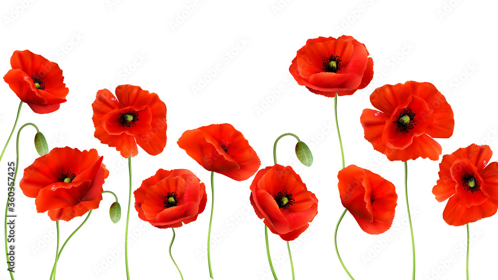 Poster Red Poppy background. 3d Realistic Vector