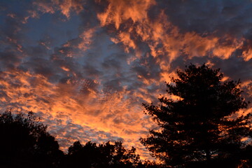 Fototapeta premium Autumn colors in Virginia