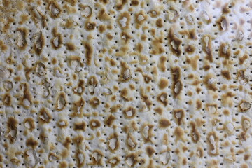 Matzo bread background