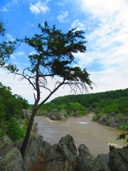 hiking potomac river great falls